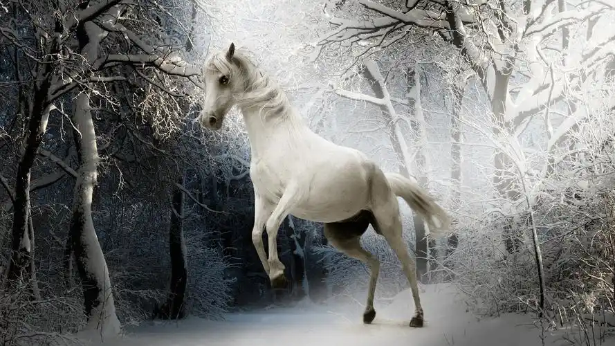 靠谱的百科大全